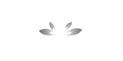 Partner school
